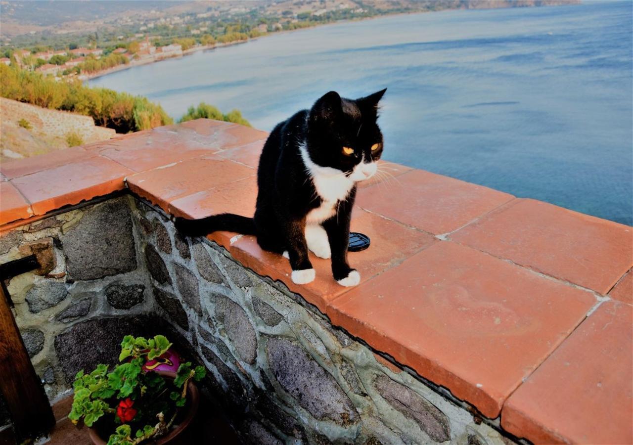 Villa Annie Mithimna Bagian luar foto